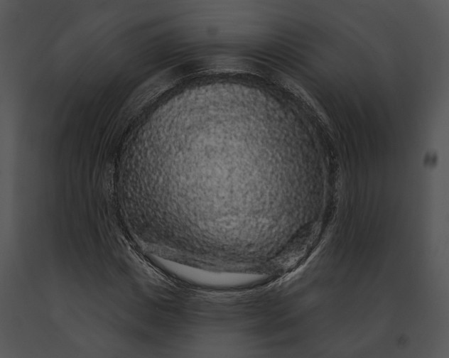 X0000091190825200708301235