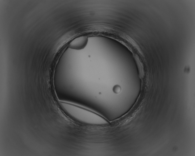 X0000091190826200708301235