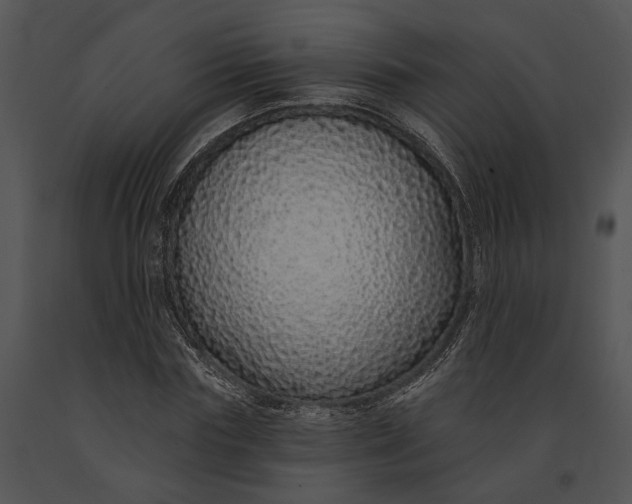 X0000091190827200708301235