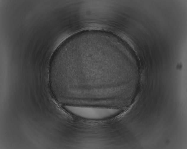 X0000091190829200708301235