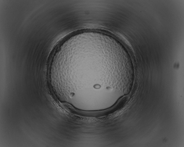 X0000091190831200708301235