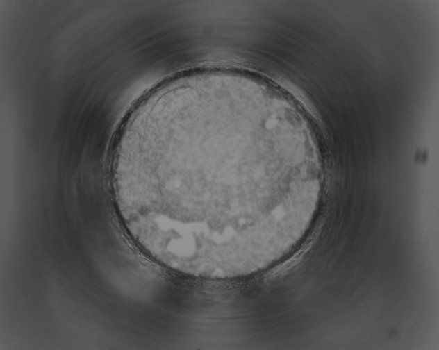 X0000091190832200708301235