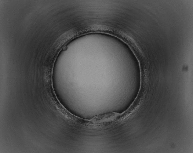 X0000091190833200708301235