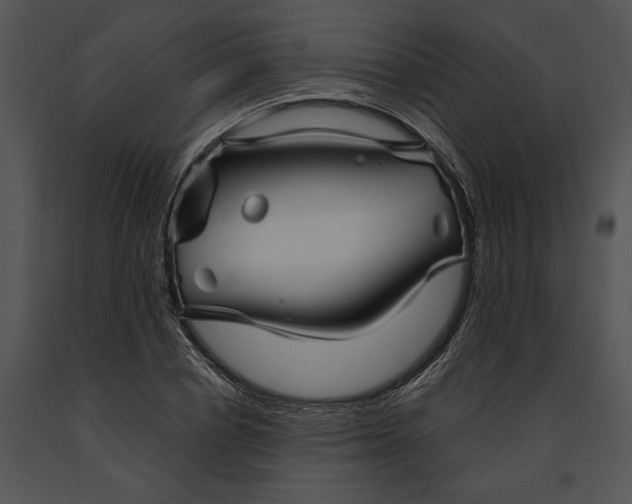 X0000091190834200708301235