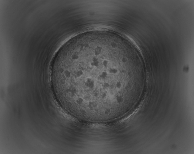 X0000091190835200708301235