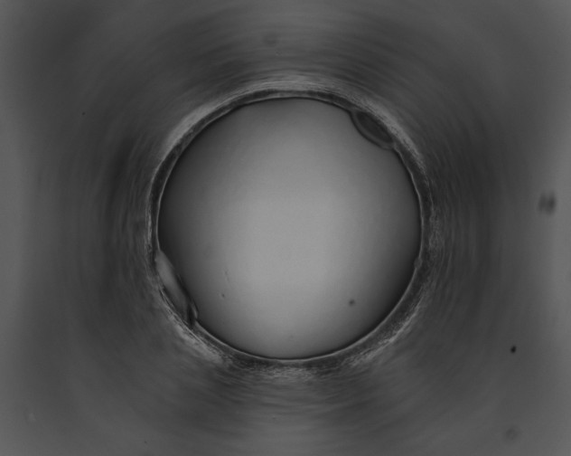 X0000091190837200708301235