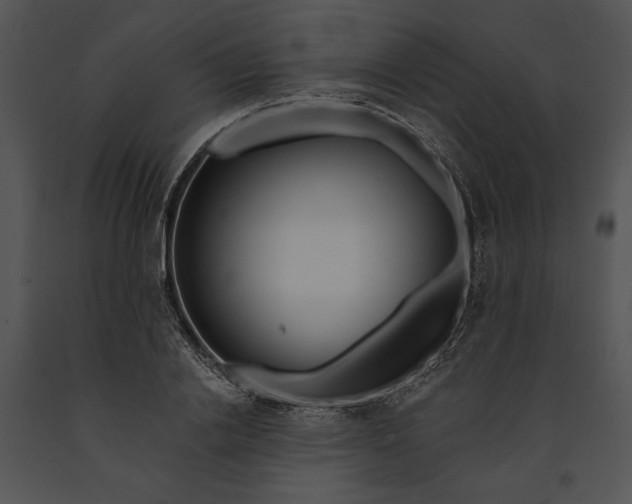 X0000091190838200708301235