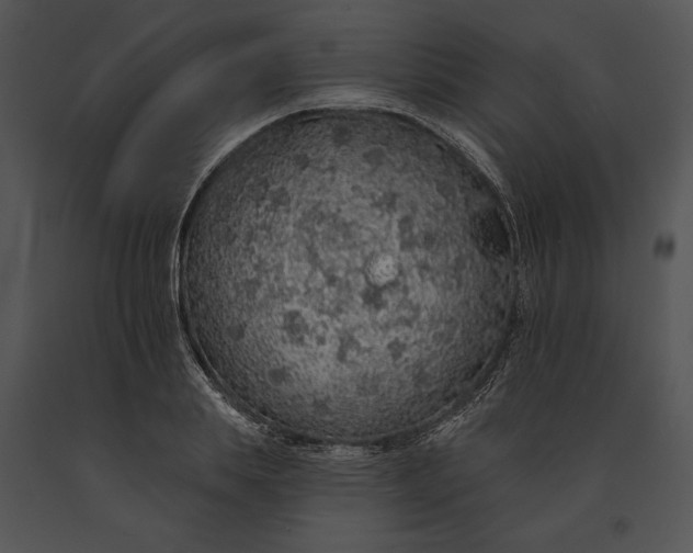 X0000091190839200708301235