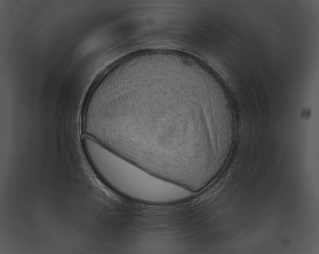 X0000091190840200708301235