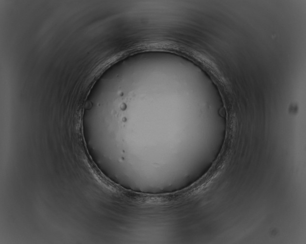 X0000091190841200708301235