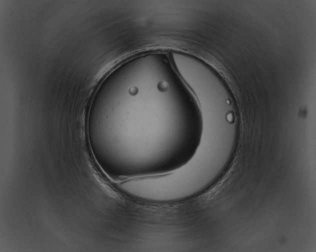 X0000091190842200708301235