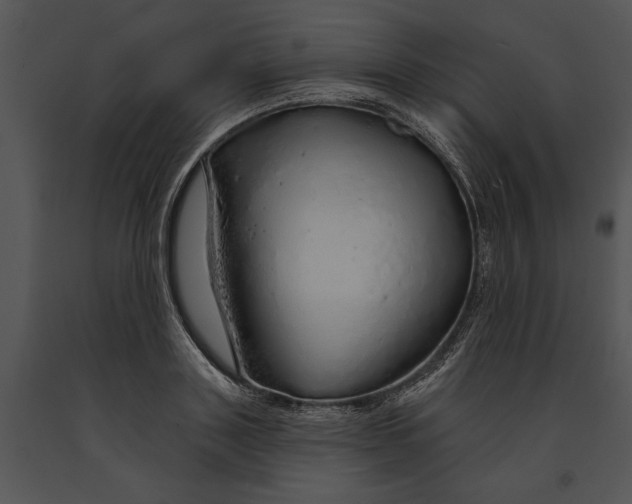 X0000091190843200708301235