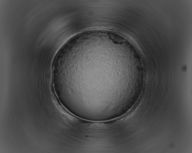 X0000091190844200708301235