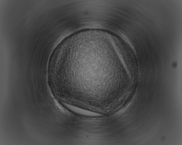 X0000091190845200708301235