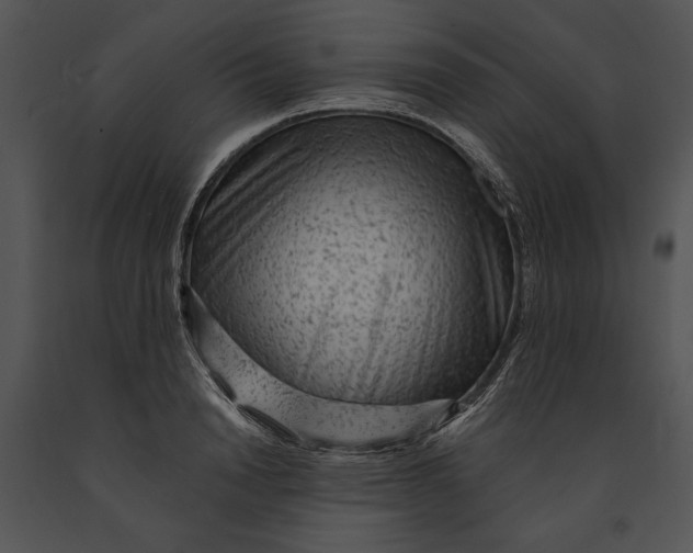 X0000091190846200708301235