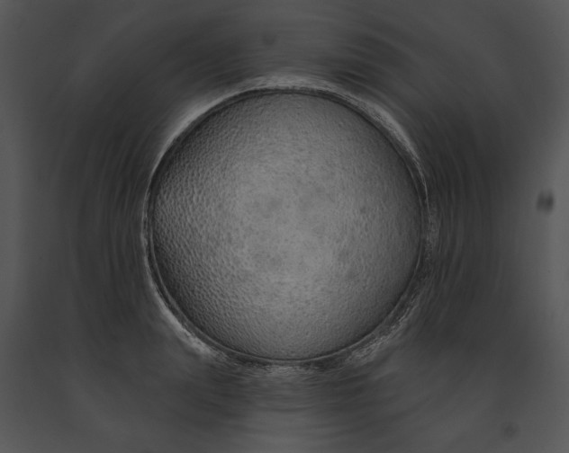 X0000091190847200708301236