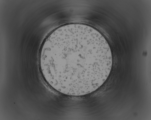 X0000091190848200708301236