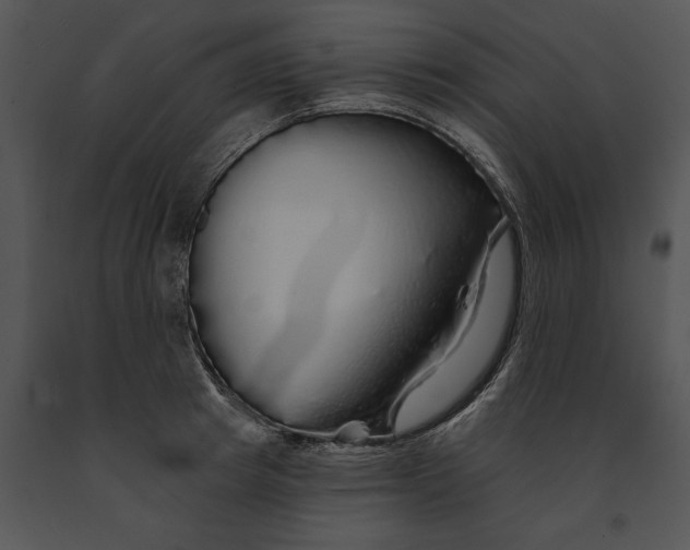 X0000091190849200708301236