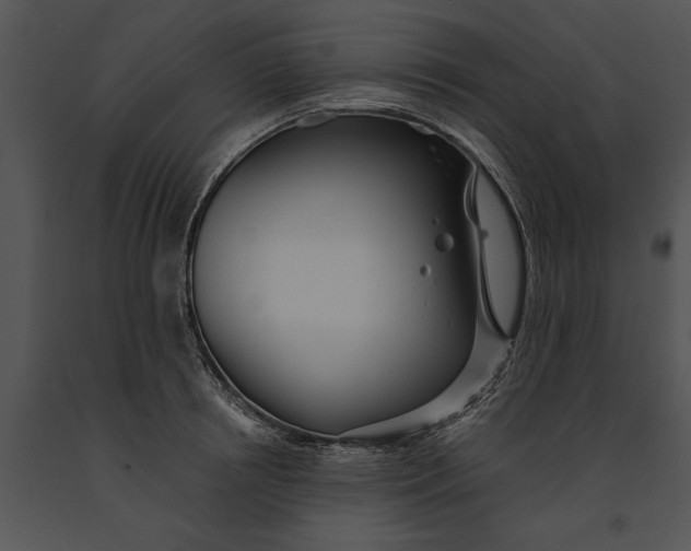 X0000091190850200708301236