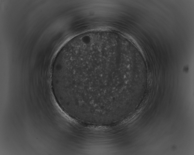 X0000091190851200708301236