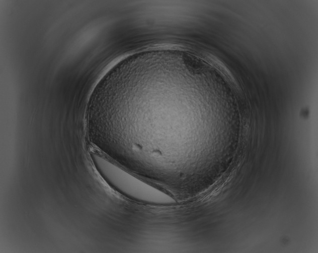 X0000091190852200708301236