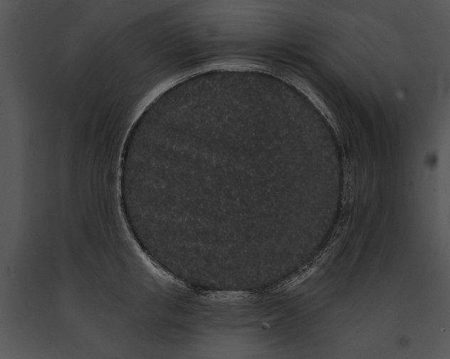 X0000091190853200708301236