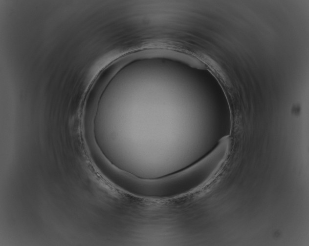 X0000091190854200708301236