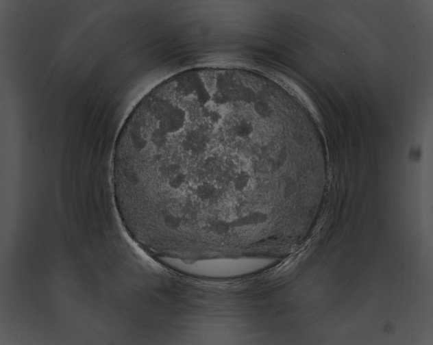 X0000091190855200708301236