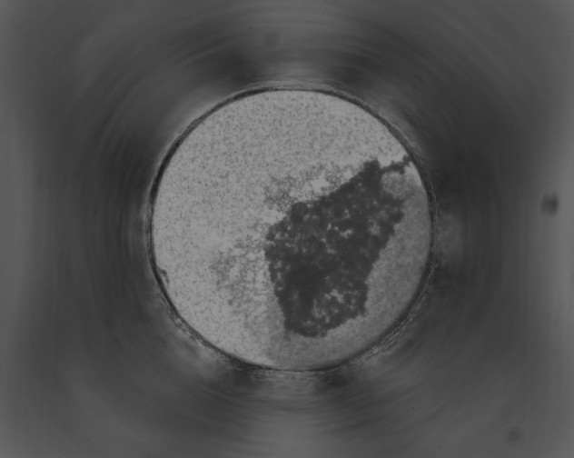 X0000091190856200708301236