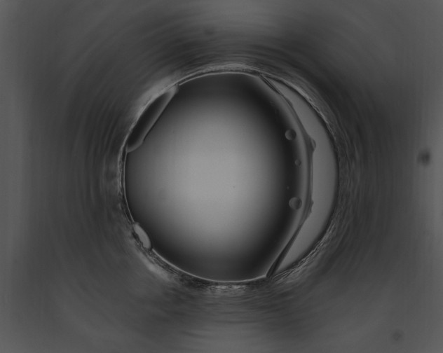 X0000091190858200708301236