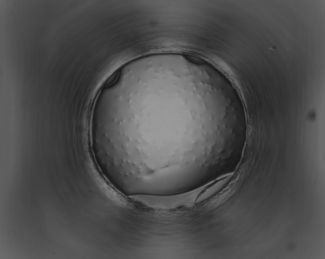 X0000091190859200708301236