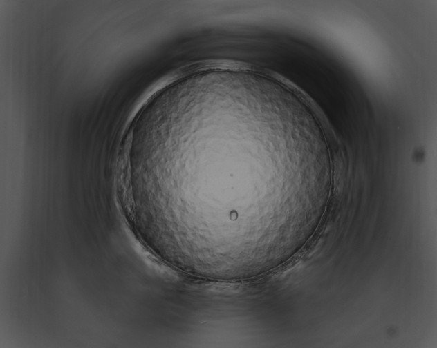 X0000091190861200708301236