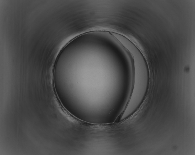 X0000091190862200708301236