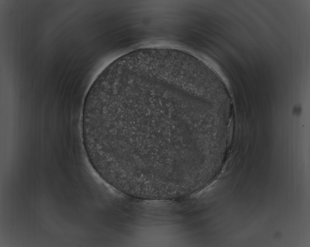 X0000091190863200708301236