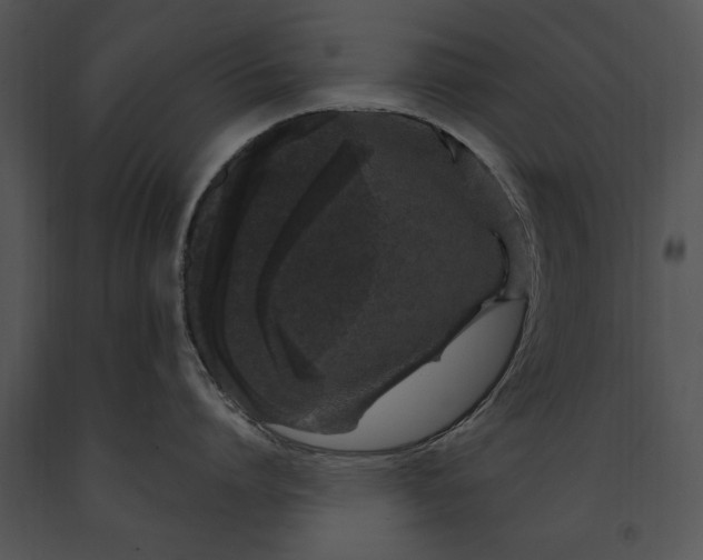 X0000091190864200708301236