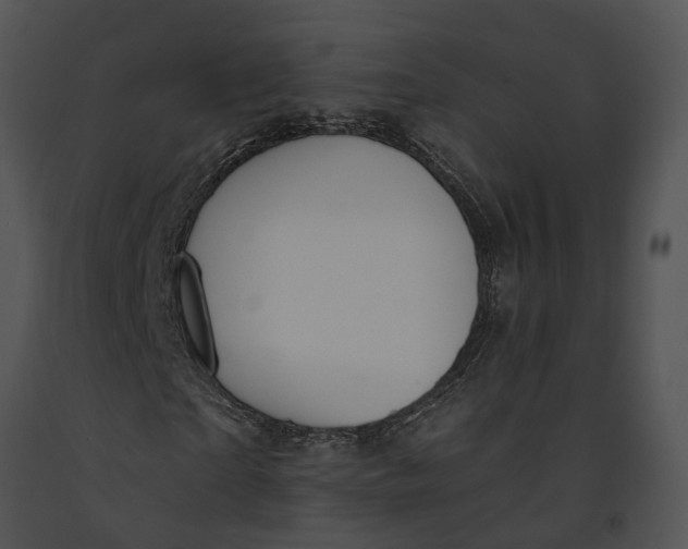 X0000091190865200708301235