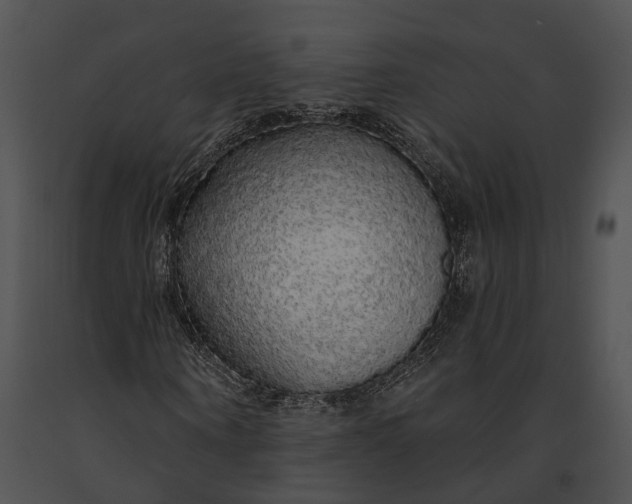 X0000091190866200708301235