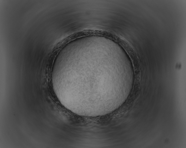 X0000091190870200708301235