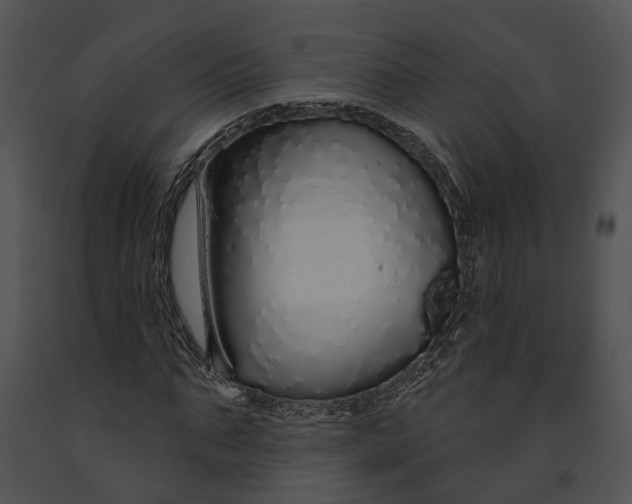 X0000091190871200708301235