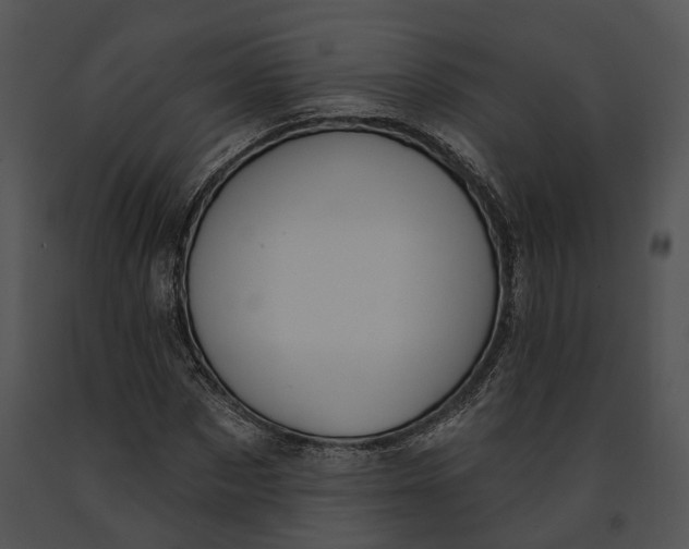 X0000091190873200708301235