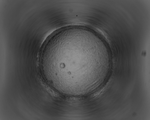 X0000091190875200708301235