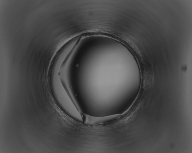 X0000091190876200708301235