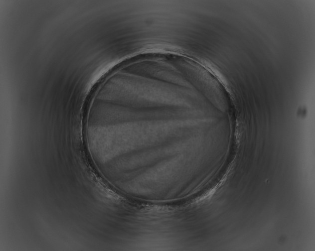 X0000091190877200708301235