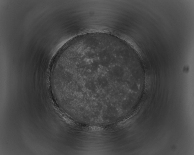 X0000091190878200708301235