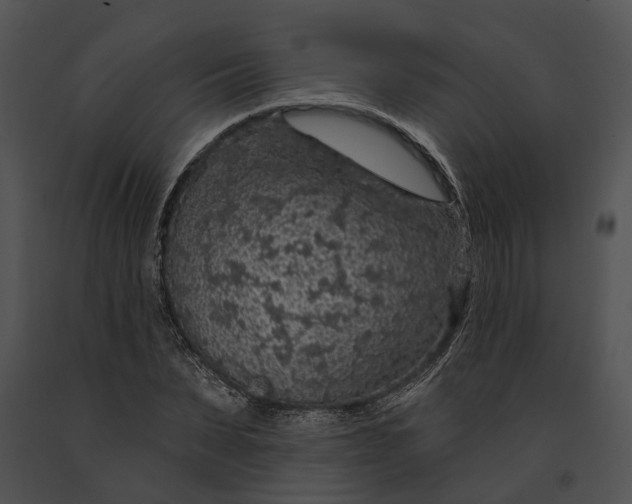 X0000091190879200708301235