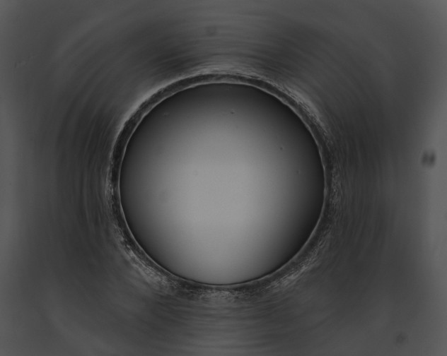 X0000091190880200708301235