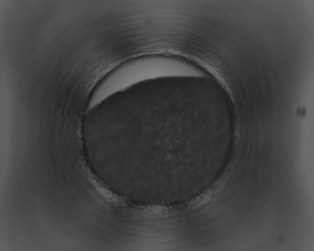 X0000091190881200708301235