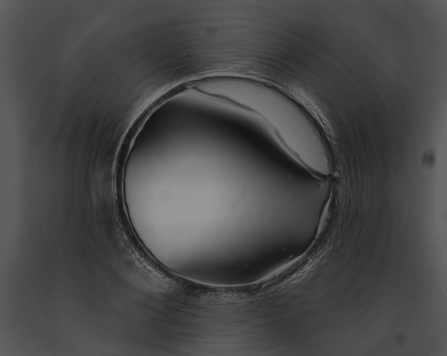 X0000091190884200708301235