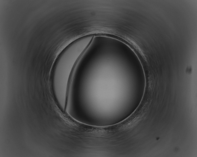 X0000091190885200708301235