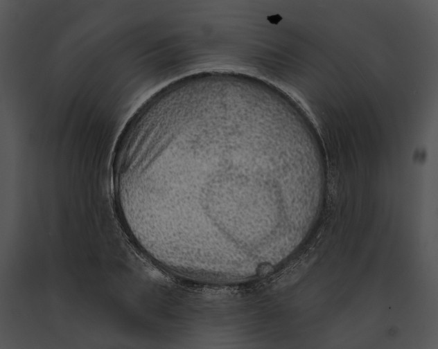 X0000091190887200708301235